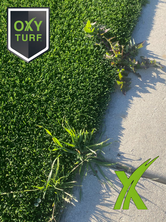 OxyTurf X - All Natural Weed & Grass Killer 5 Gal. Pail