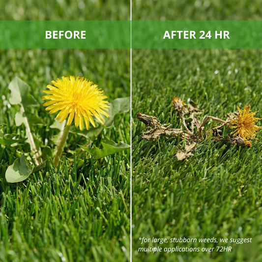 Case of OxyTurf X - All Natural Weed & Grass Killer 1 Gal. Round Jugs (4 Pack)