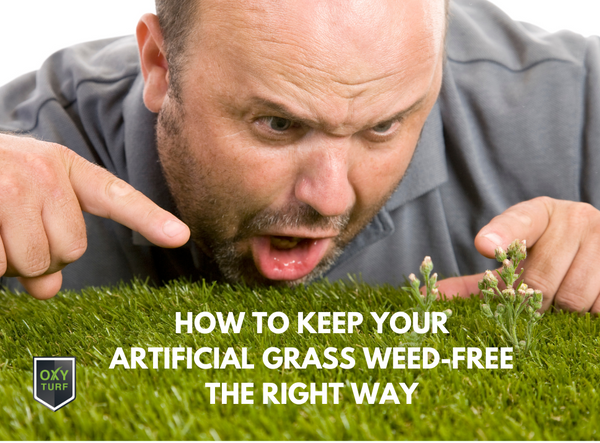 How to Keep Your Artificial Grass Weed-Free the Right Way