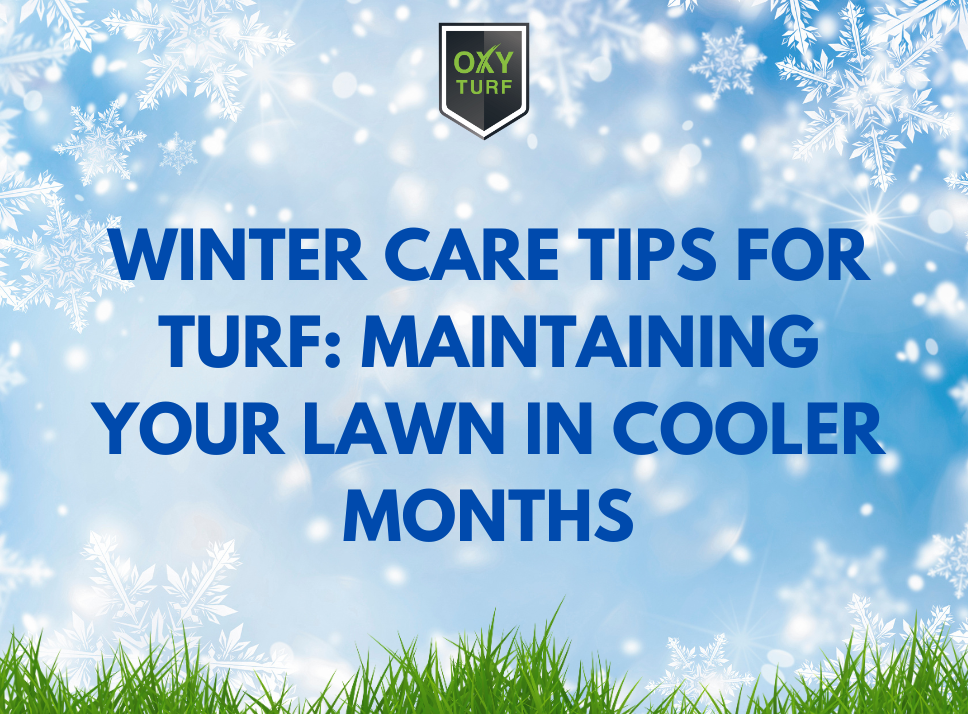 Winter Care Tips for Artificial Turf: Maintaining Your Lawn in Cooler Months