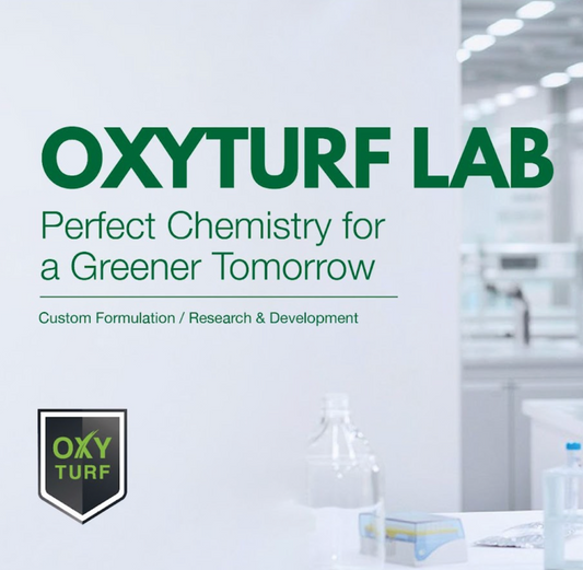 Safety First: OxyTurf X's Non-Toxic Approach to Weed Management