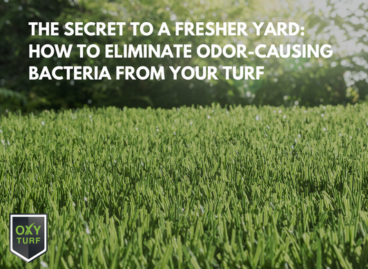 The Secret to a Fresher Yard: How to Eliminate Odor-Causing Bacteria from Your Turf