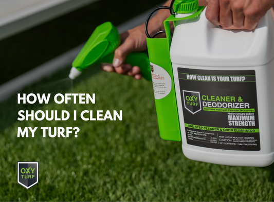 How Often Should I Clean My Artificial Turf?