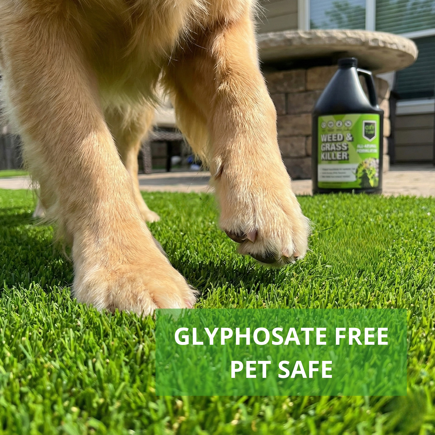 OxyTurf X - Désherbant et herbe 1-Gal. Pichet rond