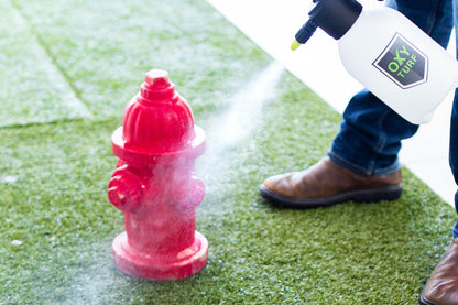.5 Gal. EZ-Pump Sprayer For OxyTurf Turf Cleaner-Deodorizer and Pet Odor Eliminator